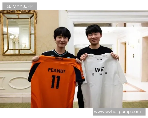 全球总决赛中WE战队意识表现的深度分析与点评实时新闻